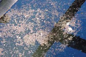 Figure 1 180122 114148