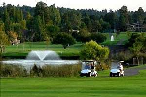 Flagstaff Continental Gc W500