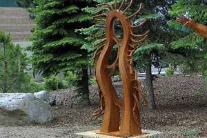 Free swimming ciliate stalked ciliate