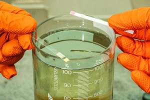 Protecting the Environment Is Goal No. 1 for This Florida WRF