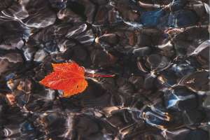 Art and Landscaping Combine to Decorate a New Water Treatment Plant