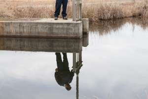 Gilstrap Cole Herlon Tpo 12