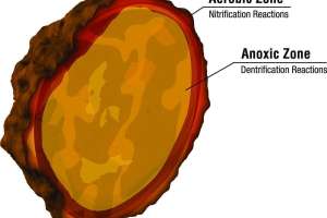 Granule Aerobic Anoxic Lrg Font