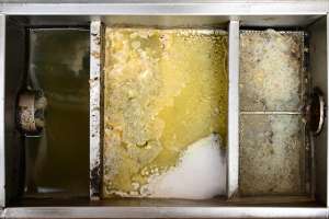 Grease trap sm