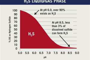 How to Prevent the Formation and Release of Hydrogen Sulfide