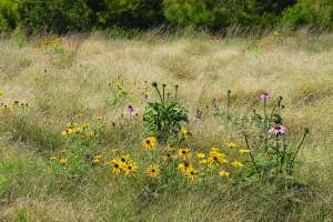 Harpethwwtp 2012 09 26 011