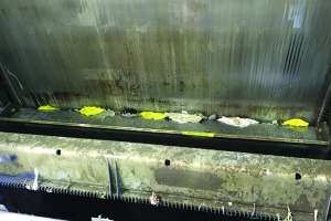 Headworks International Case Study