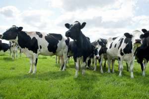 Istock 000015001588small