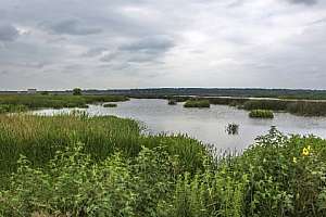 Istock 000045179614Medium W500