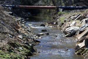 Jr albany rebranding