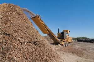 K Taylor Bcwcid Tpo Chipper 10