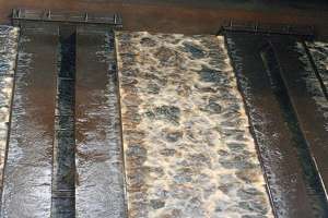 Kurita america case study