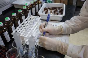 Lori Stenzel 201900229