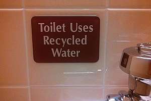 Madison Graywater Project