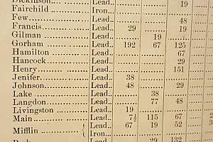 Madison Lead