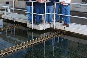 Maryville Water 102256