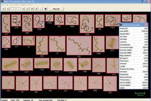 Mixed Freshwater 4X Cmyk 300Ppi 6W