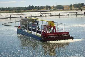 Mud cat dredge