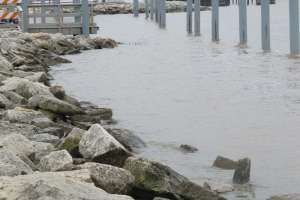 New Water Fox River Green Bay W1000 2