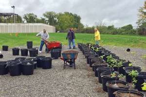 Ntwwtp Tree Farm 5 100116