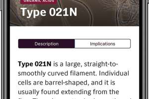 Nz Wastewater Article Export 2