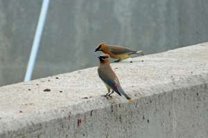 O0114 Photo Visitors