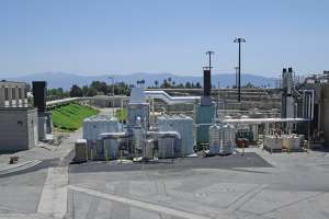 O0213 Greening Plant Photo