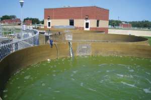 O0913 Greeningtheplant