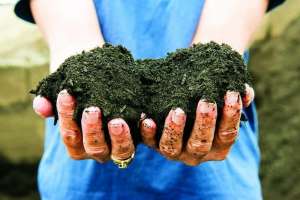 Biosolids, Recycling and Storage Solutions: The Dyno Dirt Story