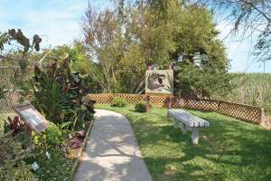 P5030036 Jpg Walkway To Birding Center