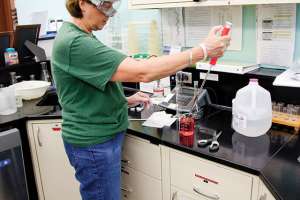 Paris Utility 2 Of 46