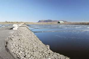 Parkson ignite large