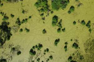 Pexels alexander gluschenko 1275985538 30497967