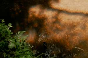 Pexels alexander mass 748453803 29567381