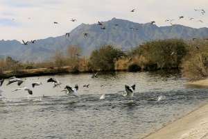 Phoenix 190808 094435