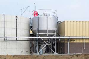 Plant Image Centrate A