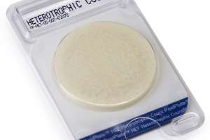 Pp hpc 5 peel plate hpc rear tz