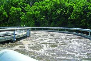 Probiotic solutions case study 180122 112854