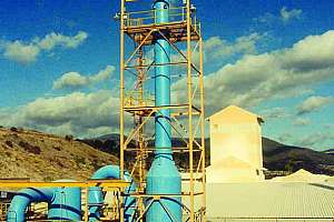 Product Spotlight Bionomic