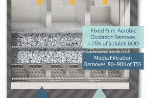 Product spotlight tomorrow water proteus