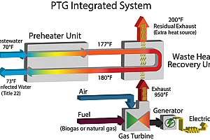 Ptg process diagram