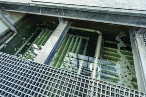 Reactor And Bioweb With Rack Removed