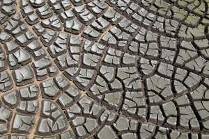 Sewage drying