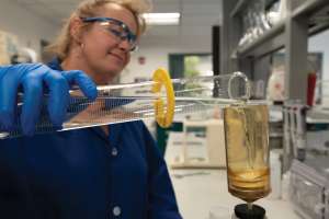 Shatz Tiffiniadams 1011