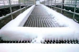 Snow Treatment Plant Walkway W1000
