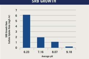 How to Prevent the Formation and Release of Hydrogen Sulfide