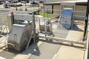 Tarpon springs water 85r