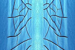 Tommy Armstrong Biosolids Art 1