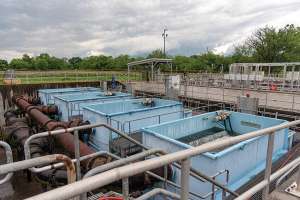 Tpo Cherry Powell Tn 10