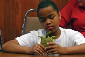 Tpo hearts alcosan 05